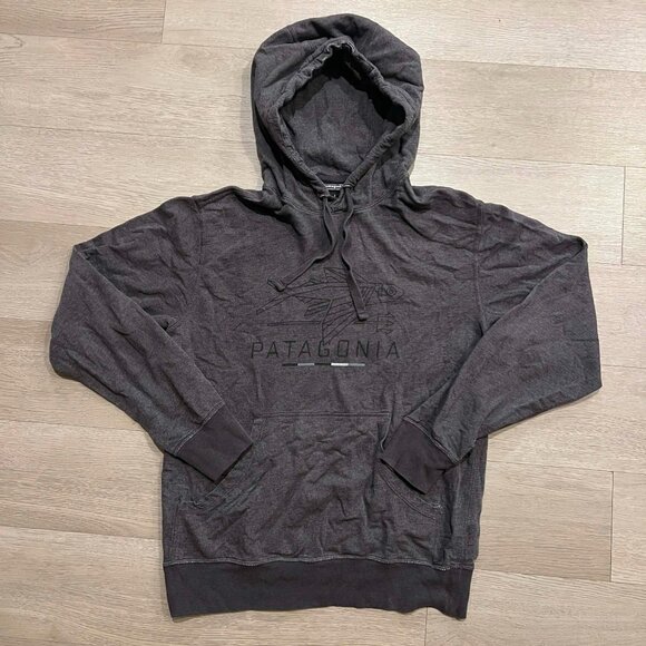 Patagonia Daily Hoodie Sweatshirt Hoodie - Picture 1 of 7